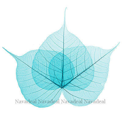 Light Blue Wood Tree Plant Leaf Art Decorative Canvas Wall Poster Picture