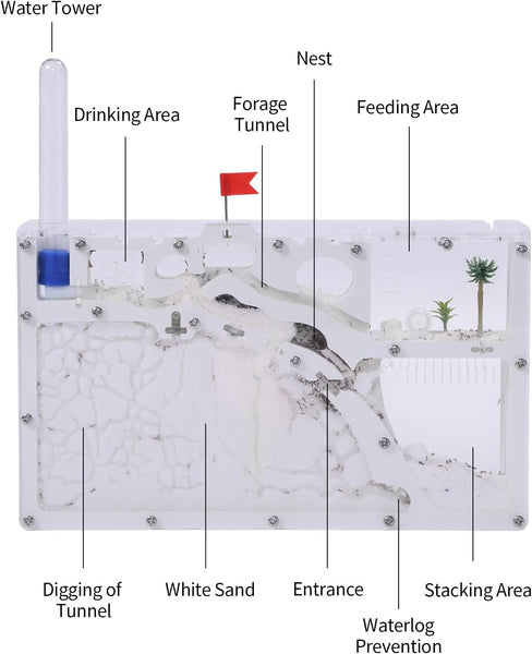 Sand Ant Farm Castle 2023 Habitat Science Kit