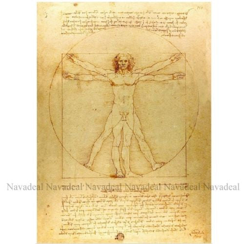 Da Vinci Vitruvian Manuscript Vintage Print Decorative Cotton Canvas Wall Poster
