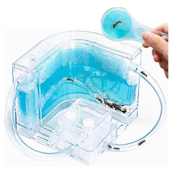 Blue Gel Ant Castle, Ant Farm with Connecting Pipe