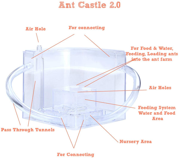 Sand Ant Castle, Ant Farm with Connecting Tubes