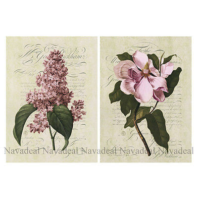 2pcs Painting Pale Violet Flora Hyacinth Flower Art Decor Canvas Wall Poster