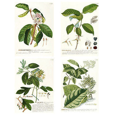 4pcs Painting Botanical Green Plant Leaves Art Decorative Canvas Wall Poster Set