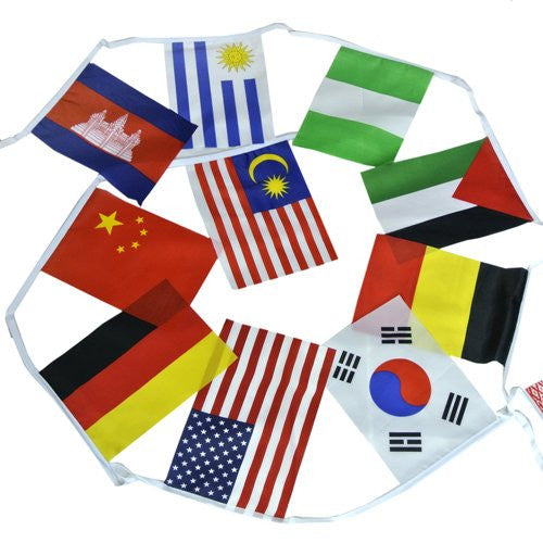 8"x12" 50 Pcs World Flags Combo Hanging National Countries Olympic Games Sports Assorted Nation